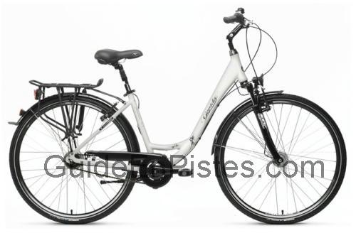 Gepida Reptila 500 fiche technique et avis